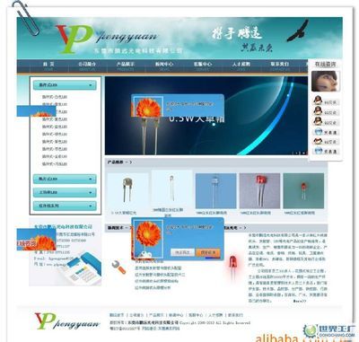 杭州華音科藝網(wǎng)絡(luò) 世界工廠網(wǎng)全球企業(yè)庫中的企業(yè)網(wǎng)絡(luò)服務(wù)專家